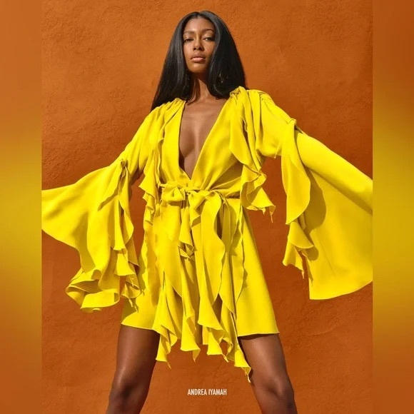 NWT Andrea Iyamah Tari Romper - Picture 2 of 5